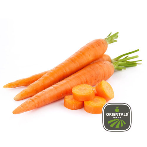 Carrot