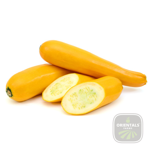 Zucchini Yellow