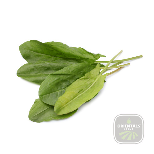 Sorrel