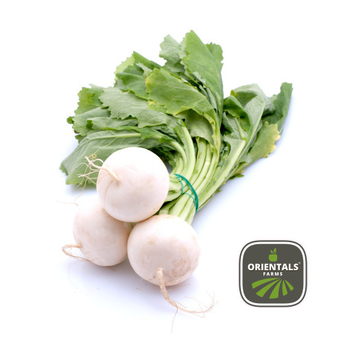 Radish White