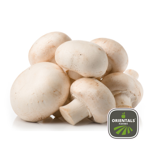 Mushroom Bottom White