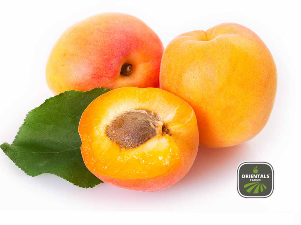 Apricots