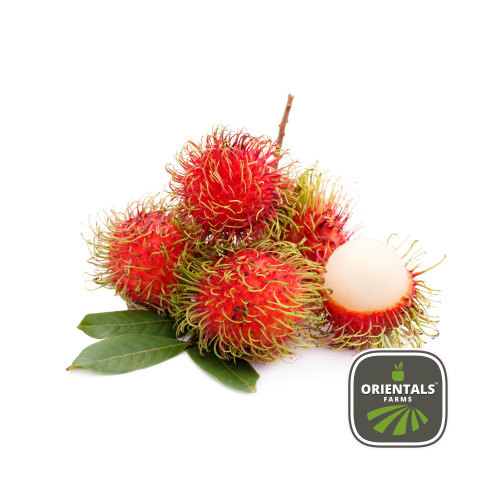 Rambutan