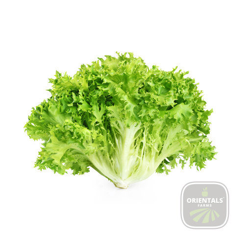 Lettuce Frisee Piece