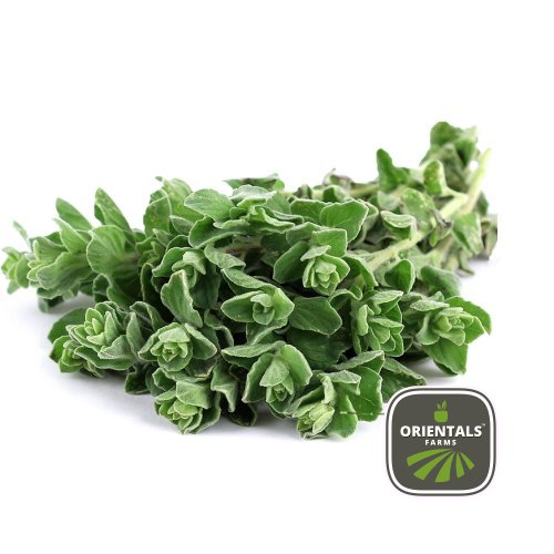 Za'atar