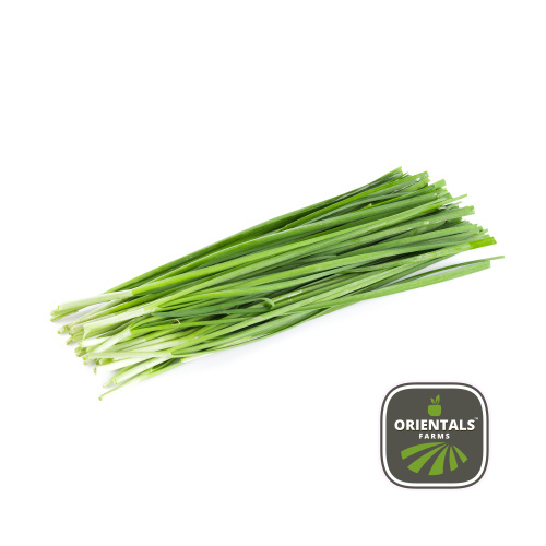 Chives