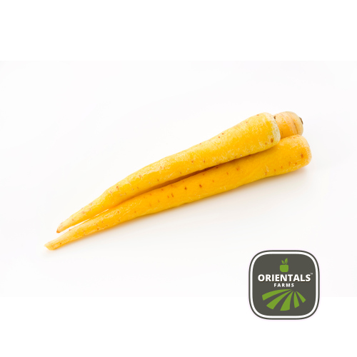 Carrot Yellow