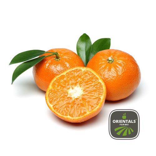 Clementine