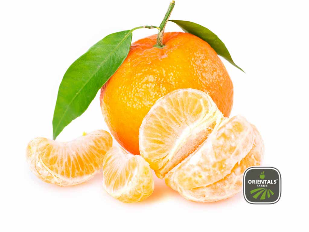 Mandarin 