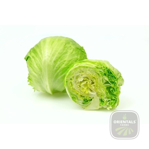 Lettuce Iceberg