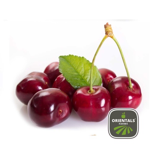 Cherry Red