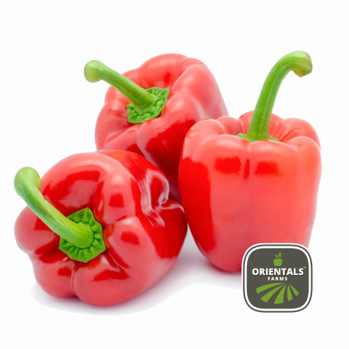 Capsicum Red