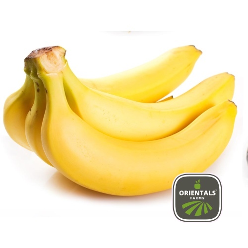 Banana Egypt KG
