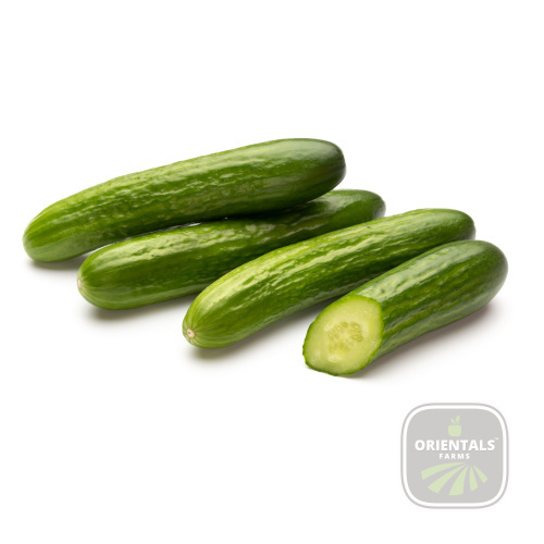 Cucumber  box