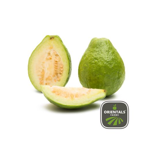 Guava