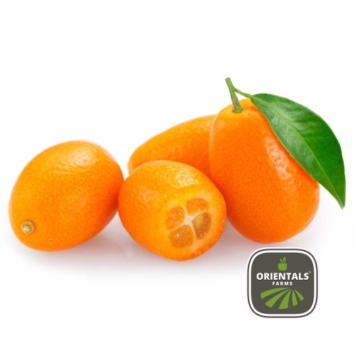 Kumquat
