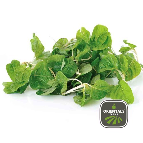 Spinach Baby