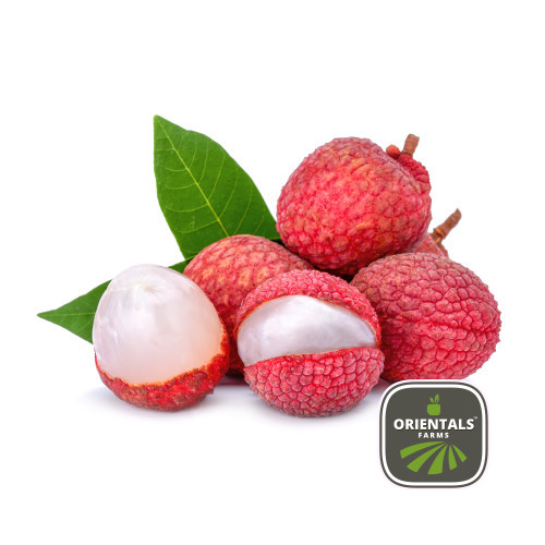 Litchi