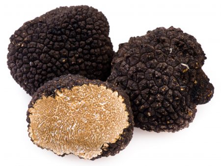 Mushroom Black trafill