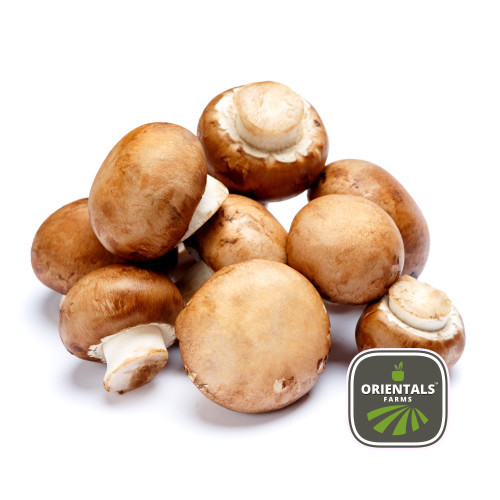 Mushroom Bottom Brown