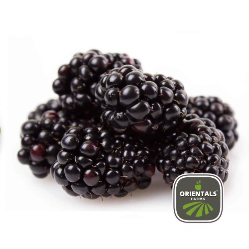 Blackberry test