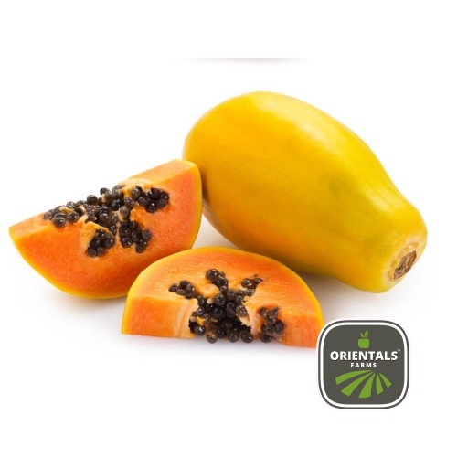 Papaya
