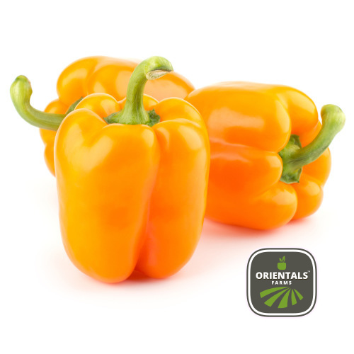 Capsicum Orange