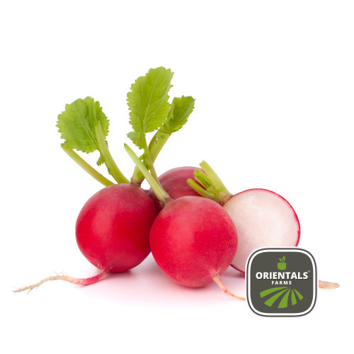 Radish Red