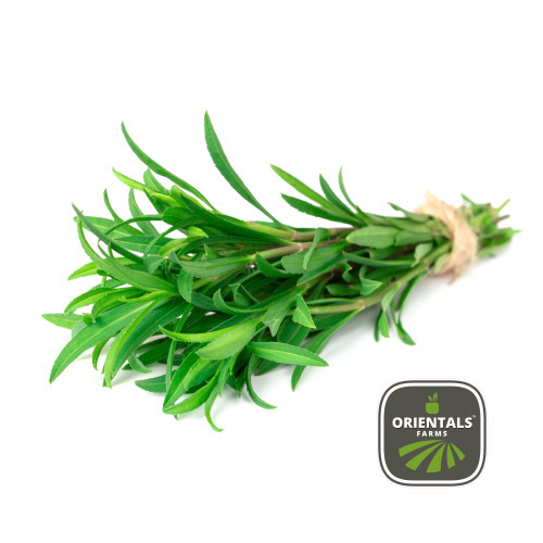 Tarragon