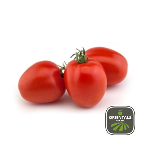 Tomato Plums