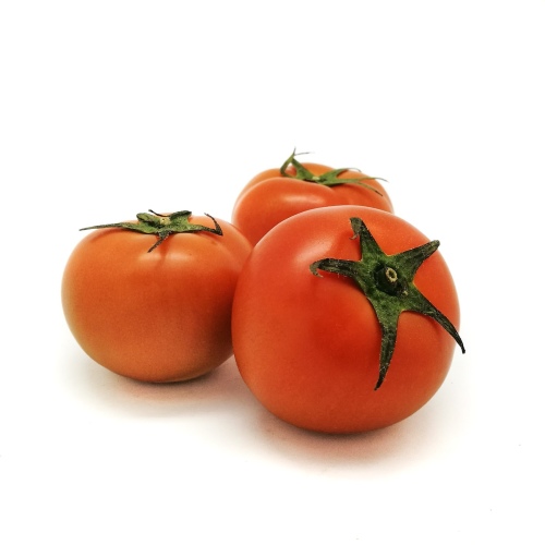 [Veg] Tomato Green House Medium Jordan Kg 