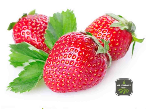 فراولة مبكت