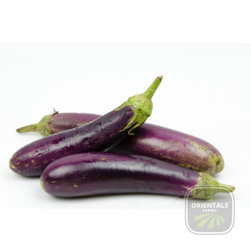 eggplant long
