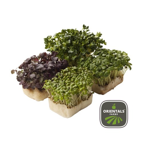 Shiso leaves box