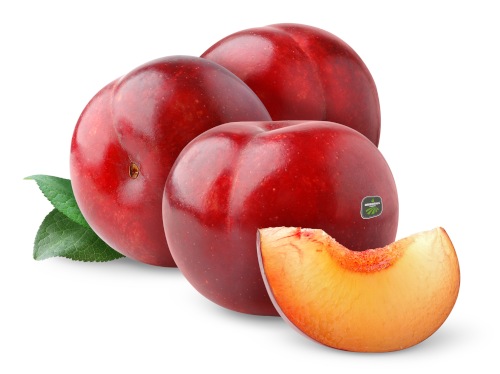 Plums Red Jordan Kg