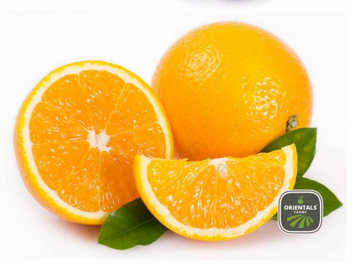 برتقال كينج 2