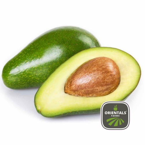 Avocado Australia