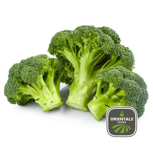 Broccoli