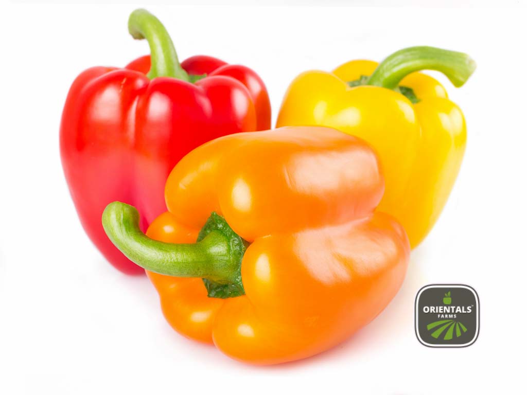 Capsicum Mix Color