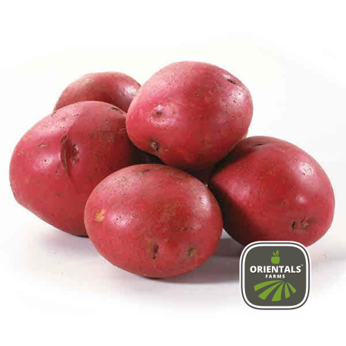 Potato Red Skin