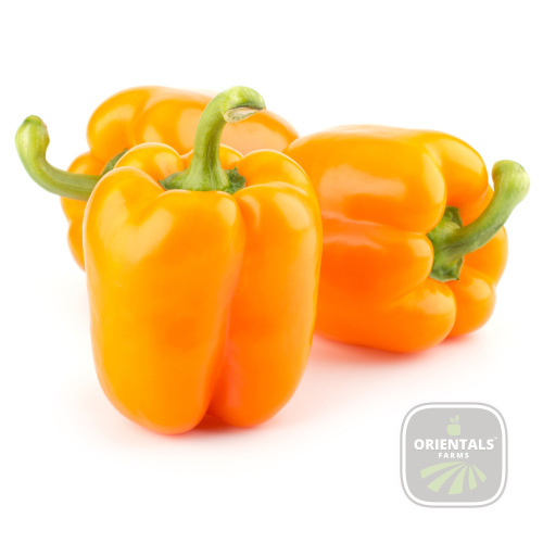 Capsicum Yellow