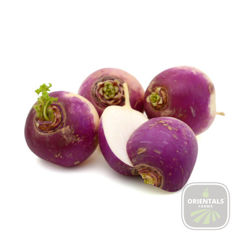 Turnip