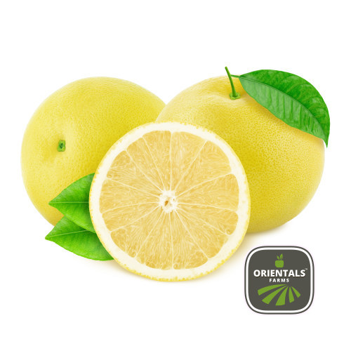 Grapefruit white