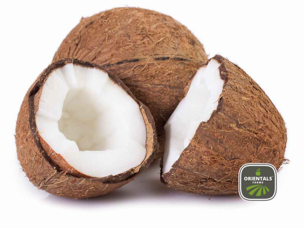 Coconut