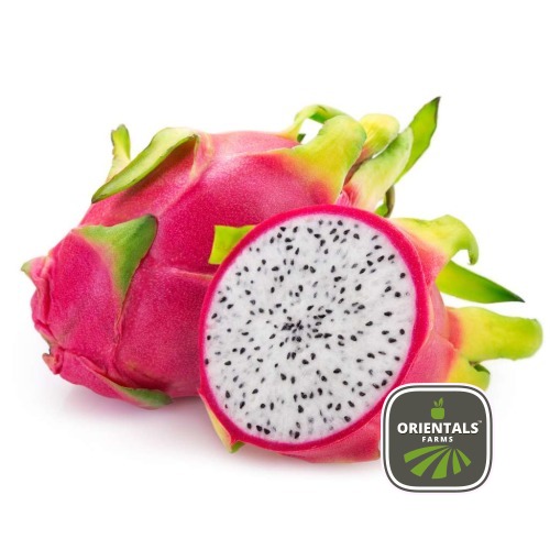 Dragon Fruit