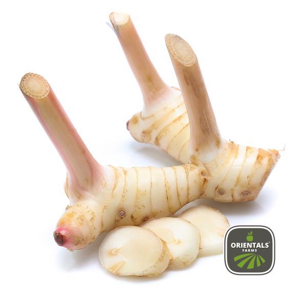 Galangal