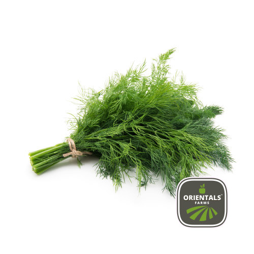 Dill Leaves