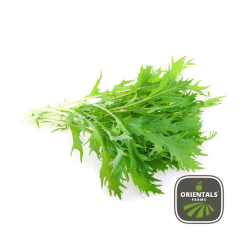 Lettuce Mizuna