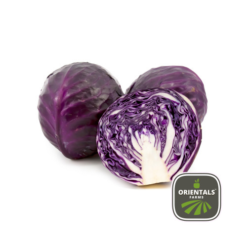 Cabbage Red
