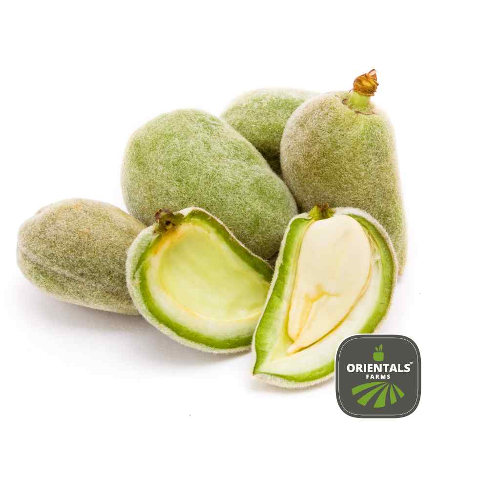 Almond Green